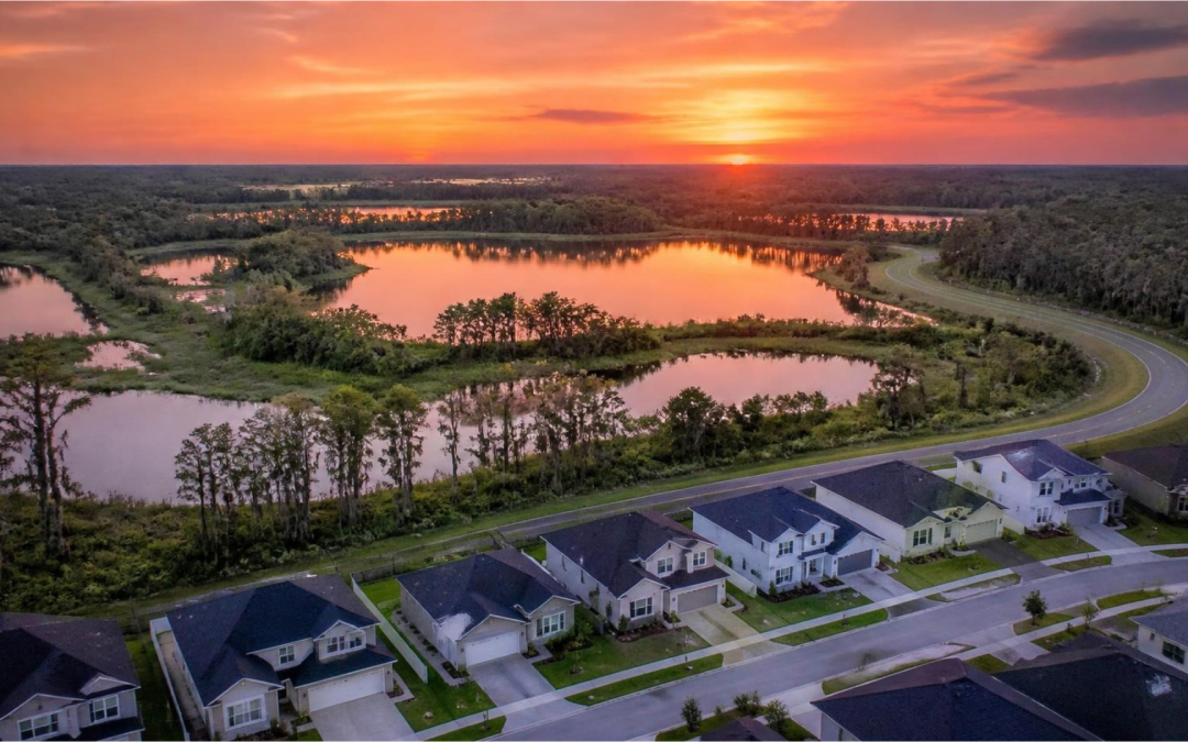 Aerial drone view of a modern residential neighborhood and natural lake at sunset in Land O' Lakes, Florida.